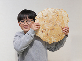 【5/30-8/31】えびせんパーク えびせんパークでぺったん体験と 南知多「田中屋旅館」で海鮮料理を堪能!