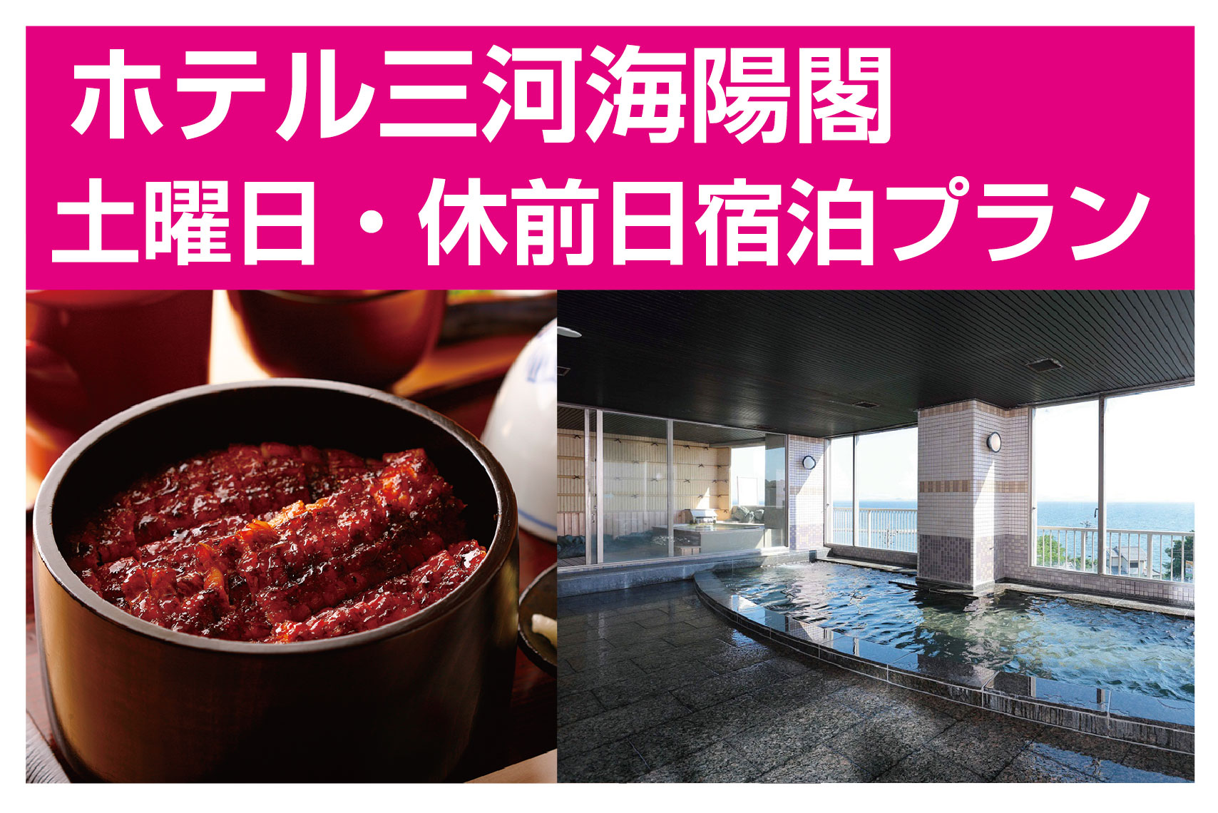 LOVEあいちキャンペーン/三河一色産ひつまぶし昼食付三谷・西浦・蒲郡温泉宿泊企画/ホテル三河海陽閣 土曜日・休前日宿泊